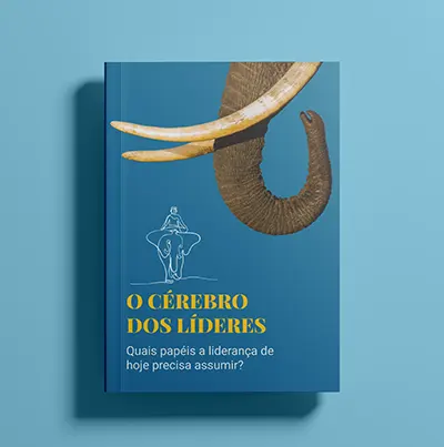 E-book Ilumne O cérebro dos líderes